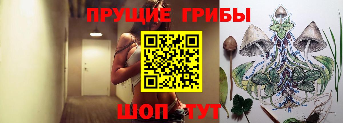 Иваново  Галлюциногенные грибы Magic Shrooms  купить   Галлюциногенные грибы Magic Shrooms  Вход с VPN 