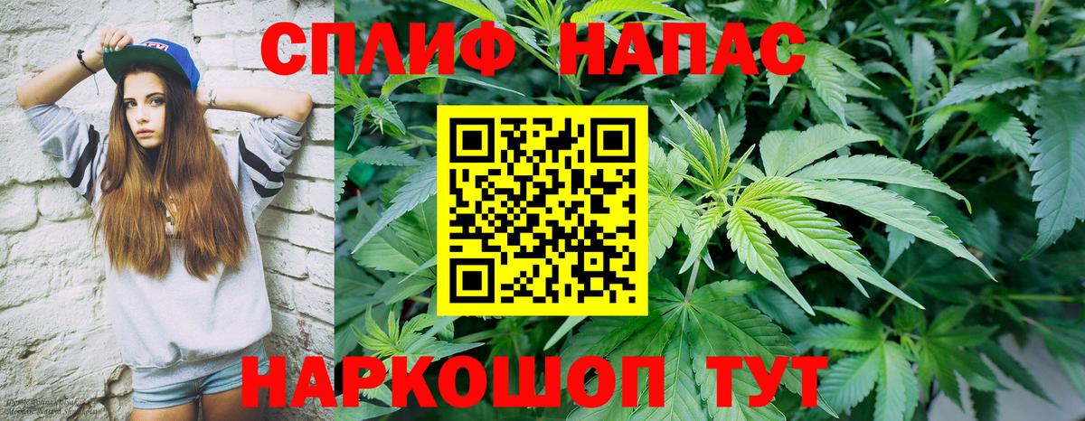 МАРИХУАНА сатива Иваново